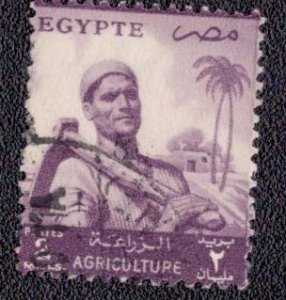 Egypt - 369 1954 Used