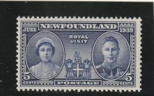 Newfoundland  Scott#  249  MNH