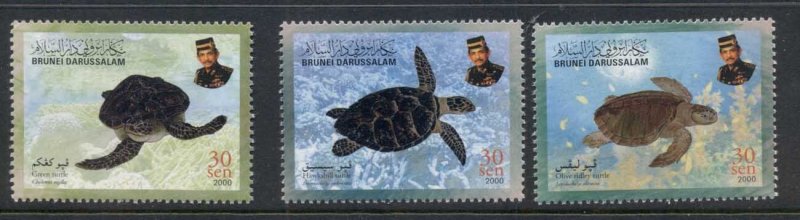 Brunei 2000 Marine Life Turtles MUH