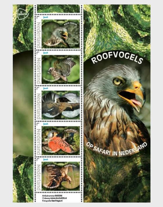 2024 Netherlands Birds of Prey MS5  (Scott NA) MNH