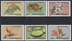 Romania 1995 Plants Scott (4043-48) MNH