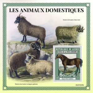 Guinea - 2021 Domestic Animals, Horse - Stamp Souvenir Sheet - GU210225b