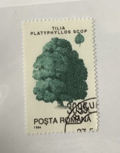 Romania 1994 Scott  3922 used - 3095 l, trees,  Tilia platyphyllos scop