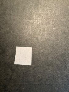 India-Poonch Scott #23 never hinged