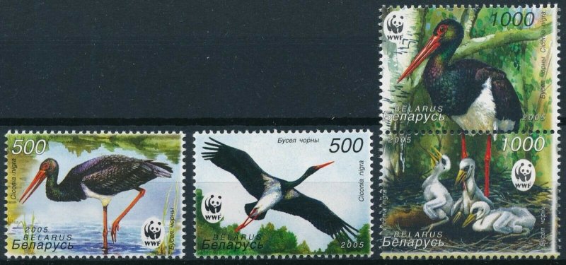 [231] Belarus 2005 Birds WWF good Set very fine MNH Stamps