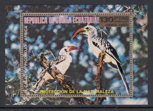 Equatorial Guinea Africa Birds Souvenir Sheet MNH VF