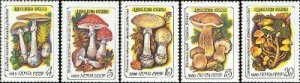 USSR Russia 1986 Poisonous mushrooms Set of 5 stamps MNH