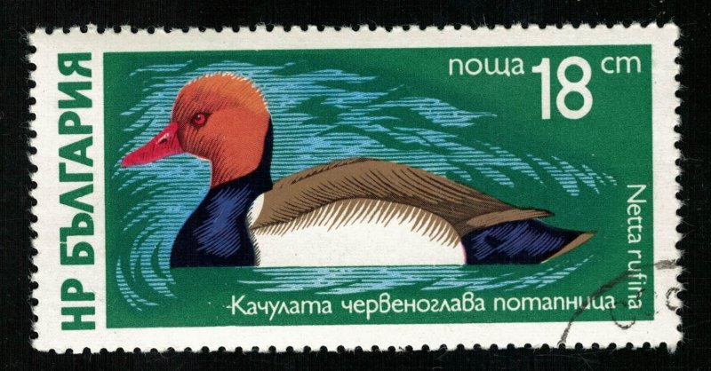 Bird Bulgaria 18ct (TS-690)