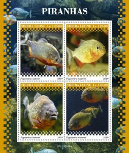 Sierra Leone 2019 MNH Fish Stamps Piranhas Red-Bellied Piranha Fishes 4v M/S