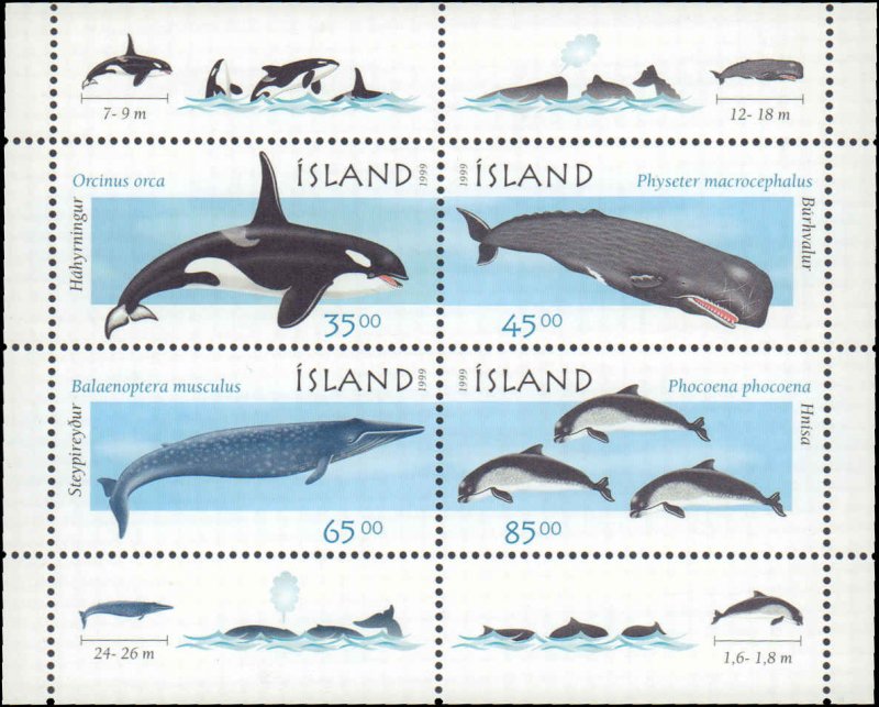 Iceland #873-876a, Complete Set(4), 1999, Whales, Marine Life, Never Hinged