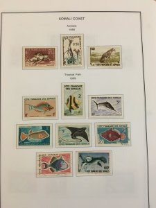 Excellent collection of Somali Coast, very high CV, many MNH