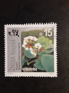 Nepal #700             Used