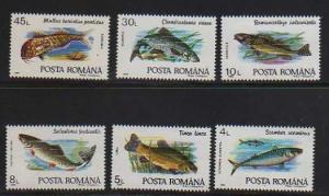 Romania MNH sc# 3728-33 Fish 10CV $2.75