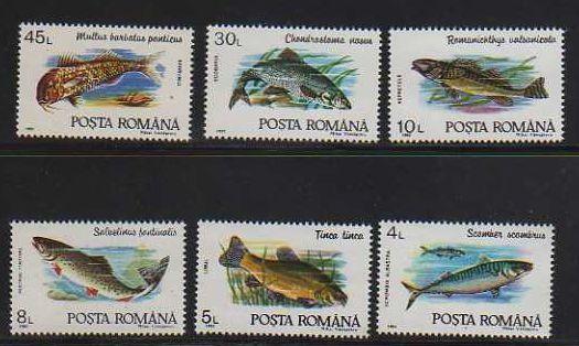 Romania MNH sc# 3728-33 Fish 10CV $2.75