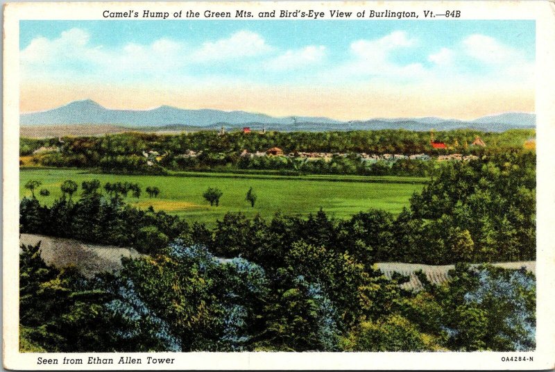 Vintage PPC - Bird's Eye view of Burlington, VT - F18754
