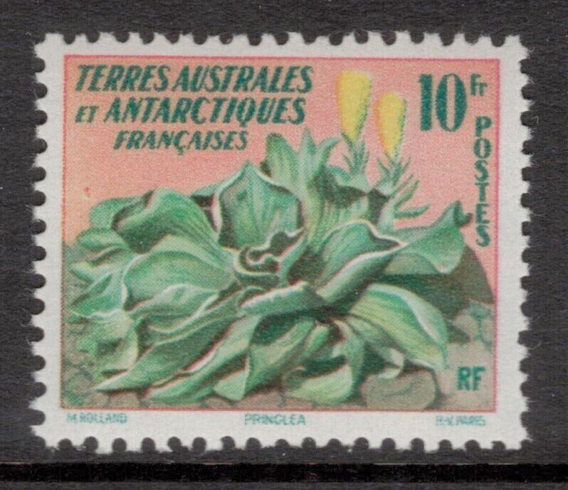 FRENCH ANTARCTIC 1959 Flower; Scott 11, Yvert 11`; MNH