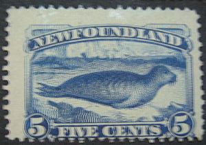 NEWFOUNDLAND 53 Mint AVF SCV$500.00 Low Start