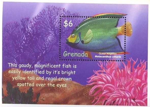 GRENADA SHEET MARINE LIFE FISHES