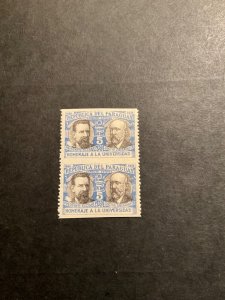 Paraguay Scott #0102 pair never hinged imperforate between