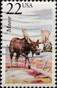 # 2298 USED MOOSE