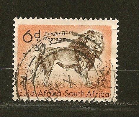 South Africa 207 Lion Used