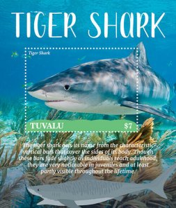 2021/10-TUVALU - TIGER SHARKS        1V  complet set    MNH ** T