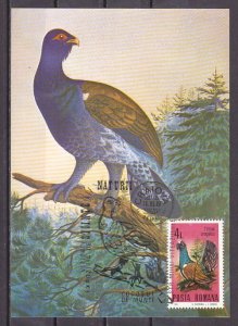 Romania, 1988 issue. 15/MAY/88 issue. Bird value on Bird Postal Card w/cancel.