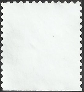 # 3295 USED RASPBERRIES