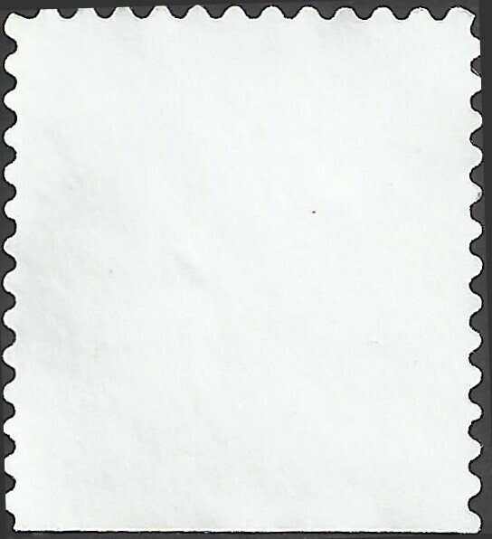 # 3295 USED RASPBERRIES