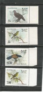 #691 - #692, #694, & #877 Ceylon Wood Pigeon