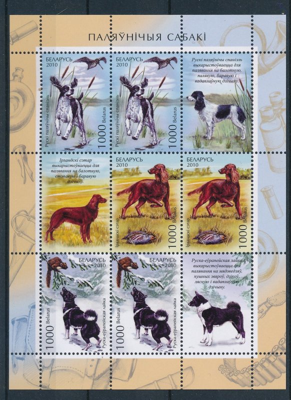 [27432] Belarus 2010 Pets dogs Hunting dogs Souvenir Sheet MNH