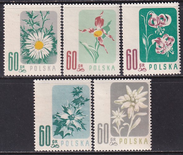 Poland 1957 Sc 781-5 Thistle Holly Edelweiss Lady's Slipper Turk's ...