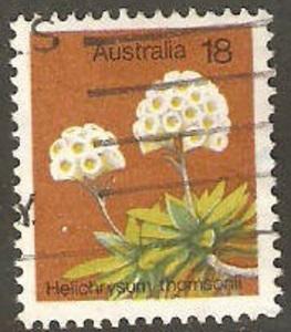 Australia Used Sc 564 - Helichrysum Thomsonil - Flower