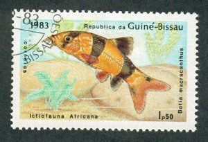 Guinea Bissau 499 Fish used  single