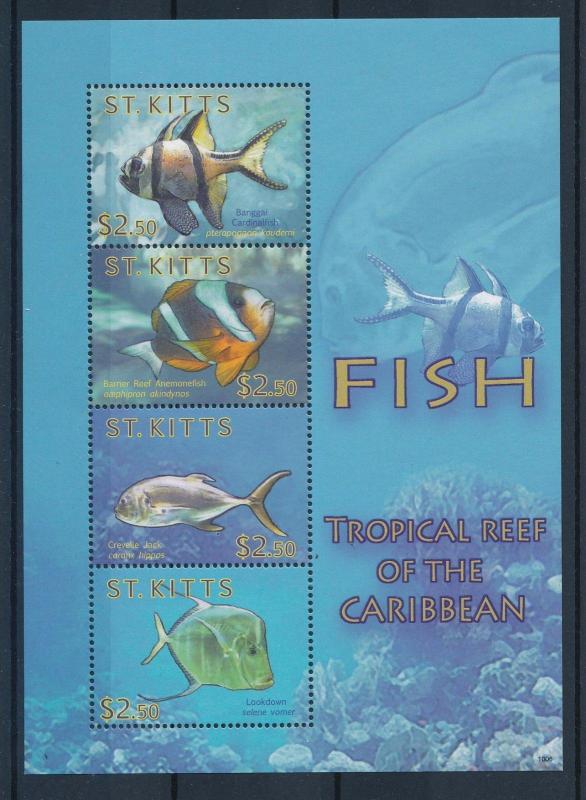 [36594] St. Kitts 2010 Marine life Fish MNH Sheet