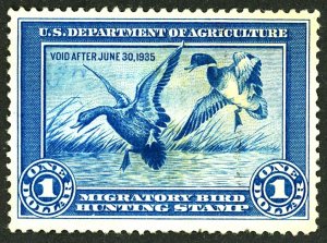 U.S. #RW1 MINT NG STAIN