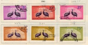 GUINEA 223-8 Grey Breasted Helmet Guinea Fowl Complete set