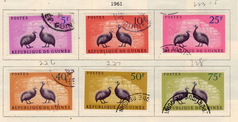 GUINEA 223-8 Grey Breasted Helmet Guinea Fowl Complete set