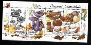 Romania 1994 - MNH - Mini Sheet - Scott #3935