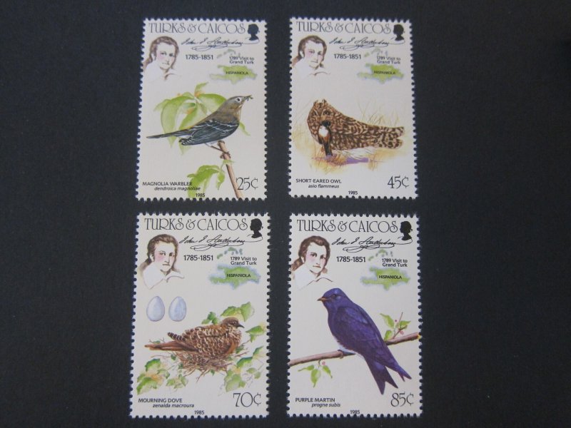 Turks & Caicos Islands 1985 Sc 651-4 bird set MNH