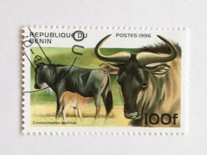 Benin – 1996 – Single “Mammal” Stamp – SC# 933 - CTO