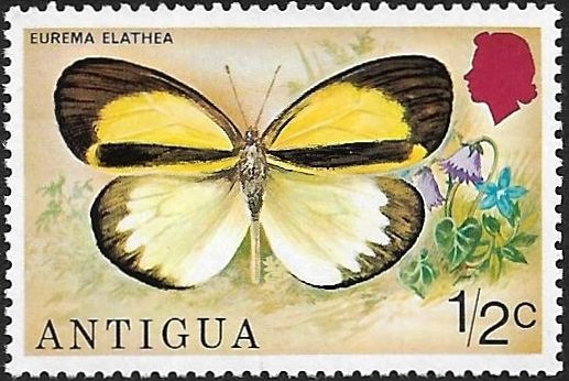Antigua - British Colonies Mint NH Stamp Scott # 387 MNH. Butterflies.