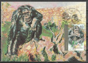 Israel 1992 Chimpanzee Monkeys The Jerusalem Zoo Maximum Card 