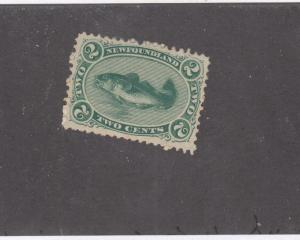 NEWFOUNDLAND # 24  VF-MNG  2cts  CODFISH GREEN  CAT VALUE $150