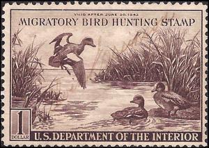 RW9 Used... SCV $45.00