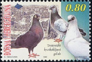 Bosnia and Herzegovina 1999 #327 MNH. Pigeons