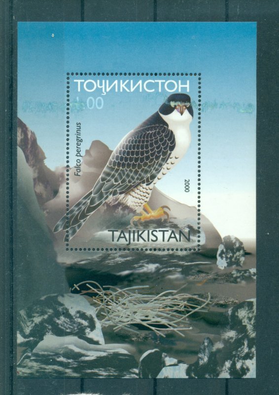 Tajikistan - Sc# 165. 2001 Birds of Prey Sheet. MNH $4.25