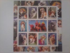 CHERKESIA SHEET DOGS