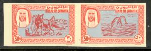 UMM AL QIWAIN 1963 30np FOX 50np SWORDFISH Unadopted Essay For First Issue MNH