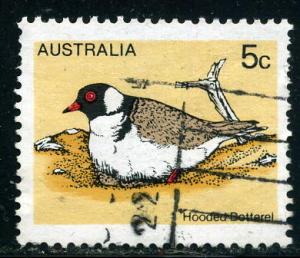 Australia - Scott #682 - 5c - Hooded Dotterel - Used